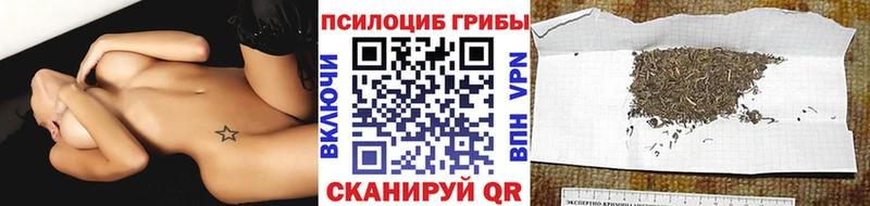 Псилоцибиновые грибы Cubensis  Купить где  Катайск 
